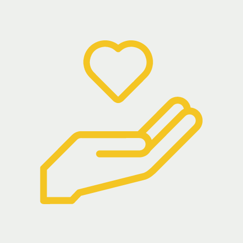 6. Launch & Support
